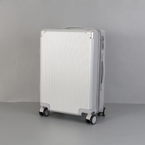 Imagen de MALETA CON ESTILO 20 "(PLATA)