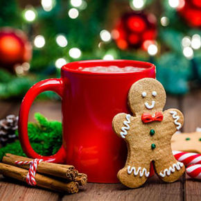 Imagen para la categoría FESTIVAL